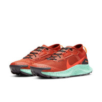Shoes NIKE PEGASUS TRAIL 3 GTX DC8793-800 Shoes NIKE PEGASUS TRAIL 3 GTX DC8793-800