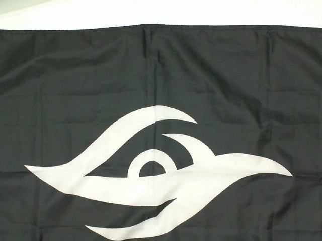 Black Flag Black Flag