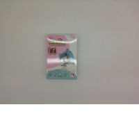 DIY Instant Digital Camera