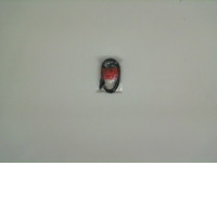 Cord TYPE-C Cord TYPE-C