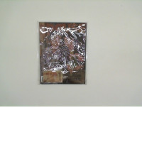 Magazine PAUSE november 2022 HUMAN IDEAL with gigt stickers