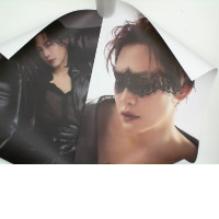 Set of 2 posters with LEMON ISSUE MAGAZINE case