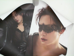 Set of 2 posters with LEMON ISSUE MAGAZINE case Set of 2 posters with LEMON ISSUE MAGAZINE case