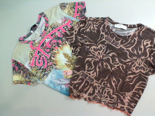 Set of 2 Women's Mesh Tops Set of 2 Women's Mesh Tops