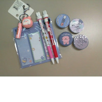 Gift set 2 pens, 1 keychain, 4 multi-colored adhesive tapes, 1 note paper