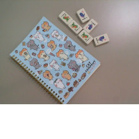 Set of notepad + 6 erasers