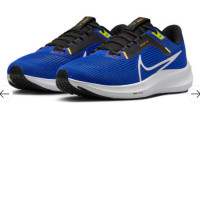 Shoes NIKE PEGASUS 40 DV3853-401