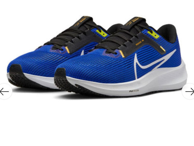 Shoes NIKE PEGASUS 40 DV3853-401 Shoes NIKE PEGASUS 40 DV3853-401