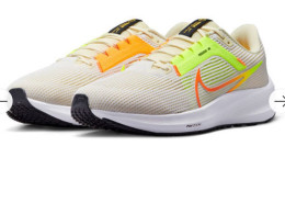 Shoes NIKE PEGASUS 40 DV3853-101