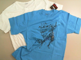 Set of 2 men's T-shirts white+blue