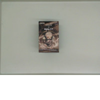 IMAGE OF REALITY SKULLPANDA figurine