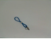 Blue silicone Key Chain