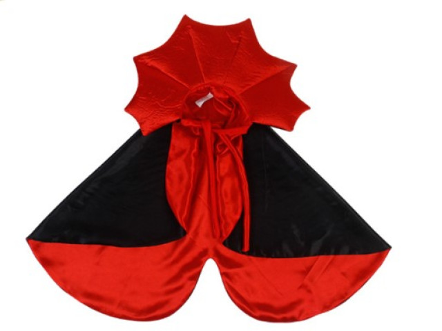 Halloween cloak for a dog Halloween cloak for a dog