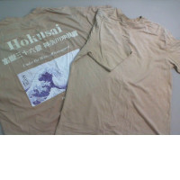 Set of 2 beige T-shirts for men, Japan