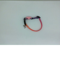 Multi-colored dog collar with bell