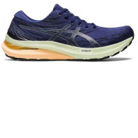 Asics Gel Kayano 29 Men’s Running Shoes