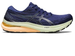 Asics Gel Kayano 29 Men’s Running Shoes