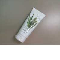 Aloe and cactus body lotion