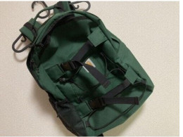 Carhartt BackPack (Green)