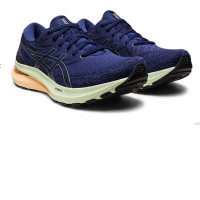 Shoes ASICS 1011B440 COLOUR 405