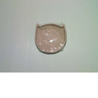 souvenir porcelain plate