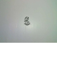 pair of earrings pair of earrings