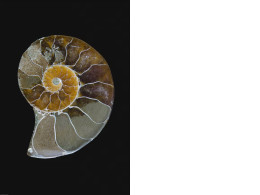 ikea poster  61x91 cm