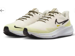 NIKE shoes PEGASUS 39 SHIELD