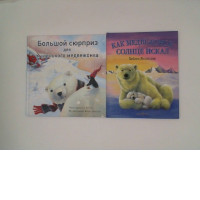 Set Of Polar Bear Book (2 Pcs/Set)