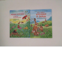 Set Of Rabbit Book (2 Pcs/Set)