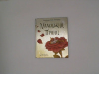 A Boy with a Rose Cartoon Book  