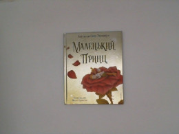 A Boy with a Rose Cartoon Book  