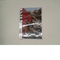 Japanese Magazine Japanese Magazine