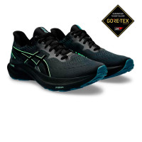 ASICS shoes GT-2000 12 GORE-TEX FF BLAST