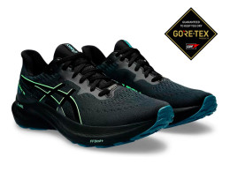 ASICS shoes GT-2000 12 GORE-TEX FF BLAST