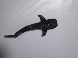 shark model shark model