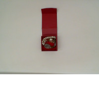 bracelet in a red box 