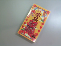 Constructor set Make a red dragon yourself