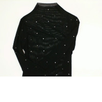 Black women's transparent blouse