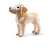 A stuffed dog toy A stuffed dog toy