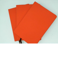 set of orange books  (3pcs/set)