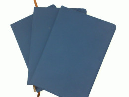 set of  bluebooks (3pcs/set)