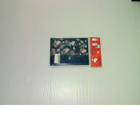 passport holder (bag)