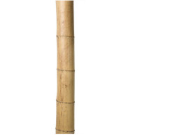 decorative stick wood