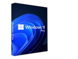 windows 11 pro