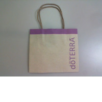 Gift bag paper size S