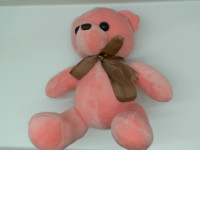pink teddy bear