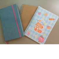 Set of 3 note pads