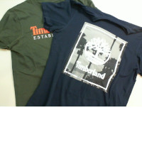 Timberland Set of 2 T-shirts, green+blue