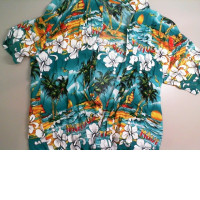 Bright men's shirt, short sleeve Bright men's shirt, short sleeve